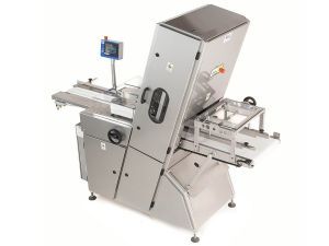 Bread cutting line top view