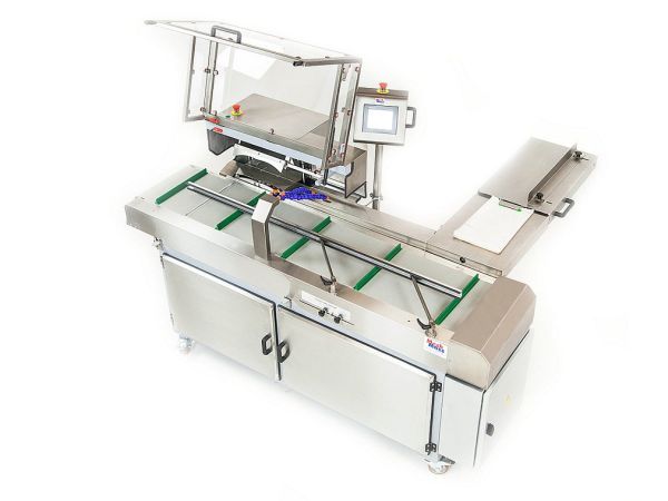 Bread packing line top view